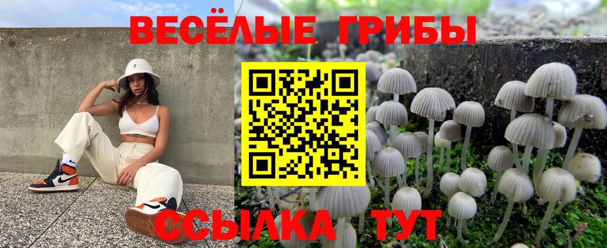 Псилоцибиновые грибы Psilocybine cubensis  Вход с VPN  Псилоцибиновые грибы MAGIC MUSHROOMS  Верхняя Пышма 